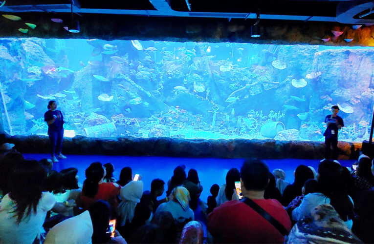 Grand Opening BXSea hadirkan: Rangkaian Show, Wahana Baru dan Berbagai Biota Baru!