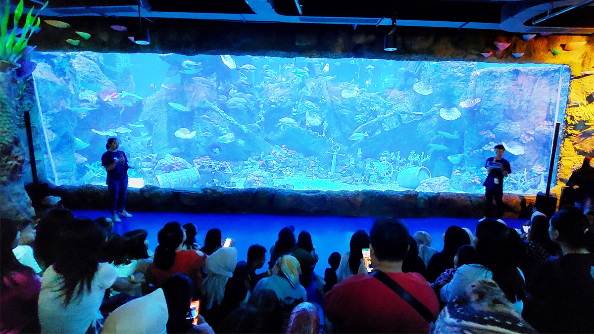 Grand Opening BXSea