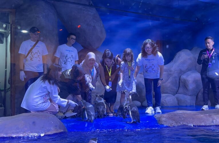 A Forever Bond: 5 Penguin Humboldt Hadir di BXSea Bintaro